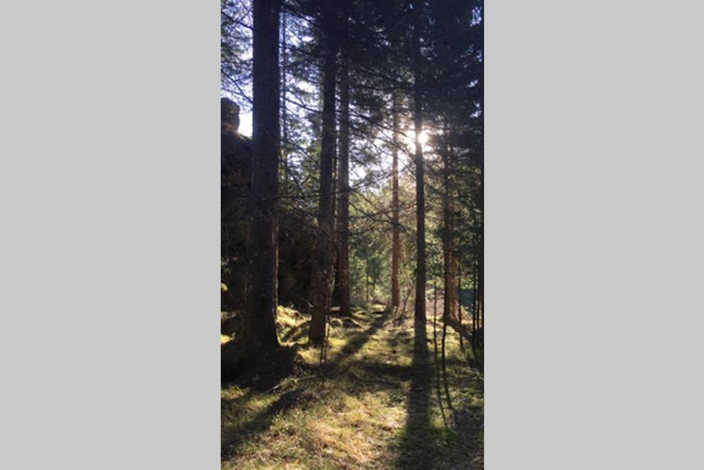 Gemuetliches Ferienhaus Am Waldrand Tröpolach Dış mekan fotoğraf