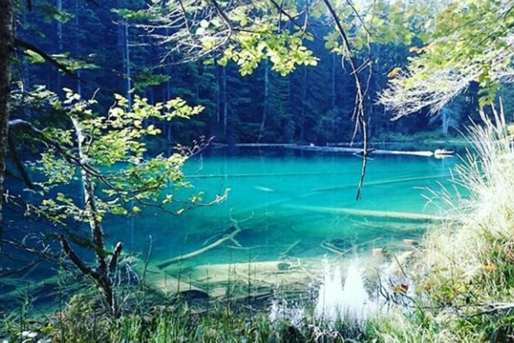 Gemuetliches Ferienhaus Am Waldrand Tröpolach Dış mekan fotoğraf